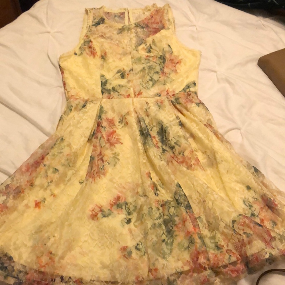 Vintage inspired lace dress from altered state